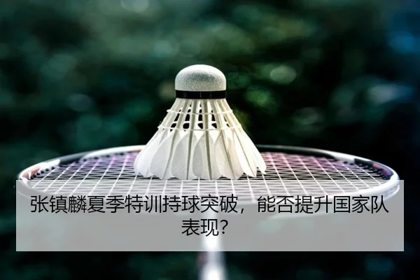 张镇麟夏季特训持球突破，能否提升国家队表现？